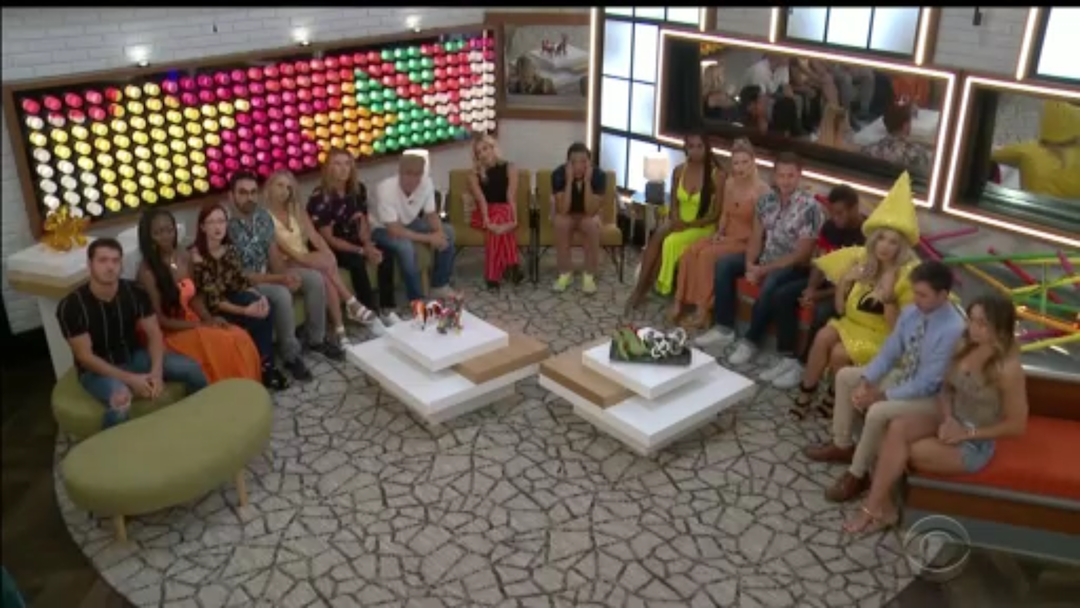 All the houseguests
