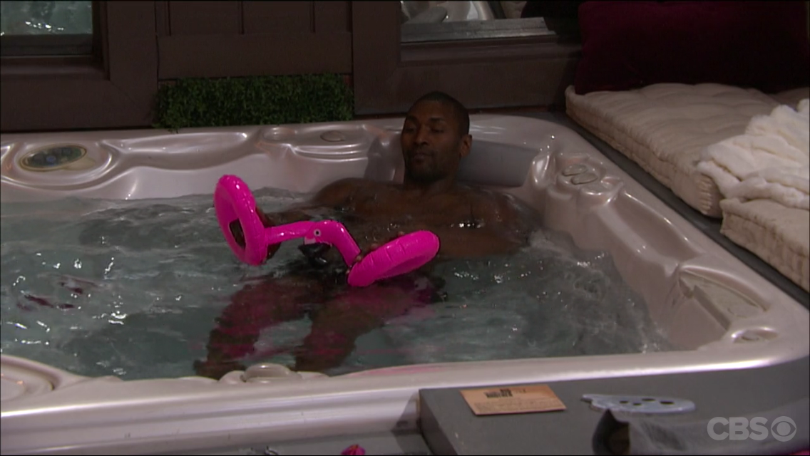 Metta playing with flamingos in the hot tub.