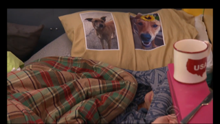 Nicole and Corey's dog pillow